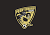 design unique customized soccer logo