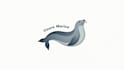design eye catchy simple seal water minimalist logo  in 12 hours