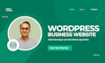 build a professional wordpress website for your business