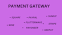 activate shopify payment,paypal,wise to your store