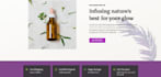 do wordpress, shopify, and ecommerce websites