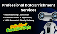 offer professional data enrichment services