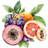 make paint watercolour botanical illustrations