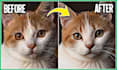 fix blurry photos, enhance upscale denoise sharpen images