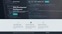 create a professional custom website