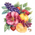 do a botanical watercolor illustration, floral drawing