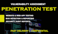 perform security audit and penetration testing for web apps