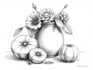create pen and ink still life drawings and object illustrations