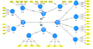 statistical data analysis tutoring research support