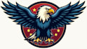 make different american eagle mascot logo design  with express delivery