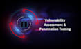 perform professional vulnerability assessment and penetration testing