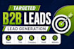 provide b2b leads and professional lead generation servic