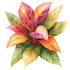 make a botanical watercolor illustration, floral drawing