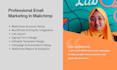 set up mailchimp with wordpress or shopify