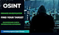 do professional osint investigation