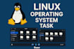 do c programming operating system tasks and projects
