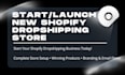 design a profitable 7 figure shopify dropshipping store and virtual assistant