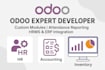 customize odoo and integrate apis zatca zkteco and thirdparty systems