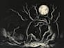draw dark art illustration with engraving style