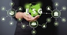 provide esg and sustainability consulting