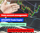 create trade copier from telegram to mt4, ninjatrader, ctrader and tradelocker