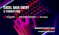 do accurate excel data entry, formatting, and spreadsheet cleanup