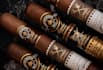 create unique cigar label, cigar logo and cigar box design