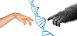 do technical research and write dissertations
