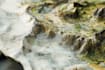 make a fantasy maps and city maps