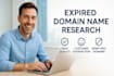 find powerful expired domains with backlinks and SEO value