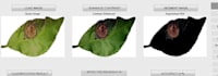 provide professional medical and crops images disease detection