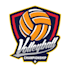 design a unique volleyball logo with original concept