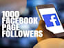 1000 organic facebook followers fast