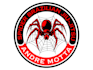 design exclusive spider logo with source file