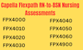 do capella flexpath msn bsn dnp assessments