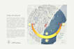 do architectural site analysis, mapping and masterplan