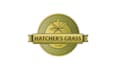 design creative hemp cannabis theme logo