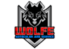 design wonderful wolf logo with free source files