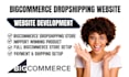 build bigcommerce dropshipping store website design redesign bigcommerce store