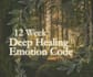 guide you through a 12 week deep healing journey