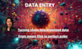do accurate data entry, office support, and task automation