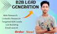 do professional b2b  lead generation any targeted