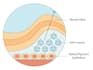 create science themed illustrations, diagrams and graphical abstracts