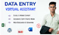 provide top notch administrative virtual assistant and data entry services