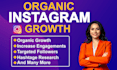 do fast organic instagram growth