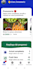 translate your content into italian