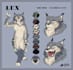 do a reference sheet for your furry character