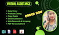 be virtual assistant in data entry and data scraping