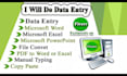 do accurate data entry , insert data in excel , word, or online platforms