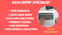 do excel data entry, web research, data mining, copy pasting